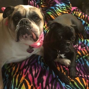 MEET THE POSHER, KERRY